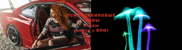 СК Балахна